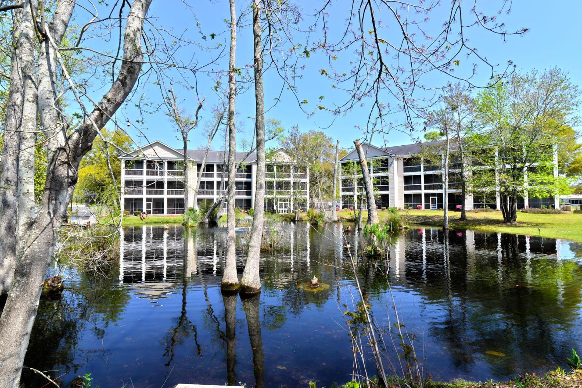 All New Luxury Beach Retreat 1 Mile To Beach W Pool Myrtle Beach Exteriér fotografie