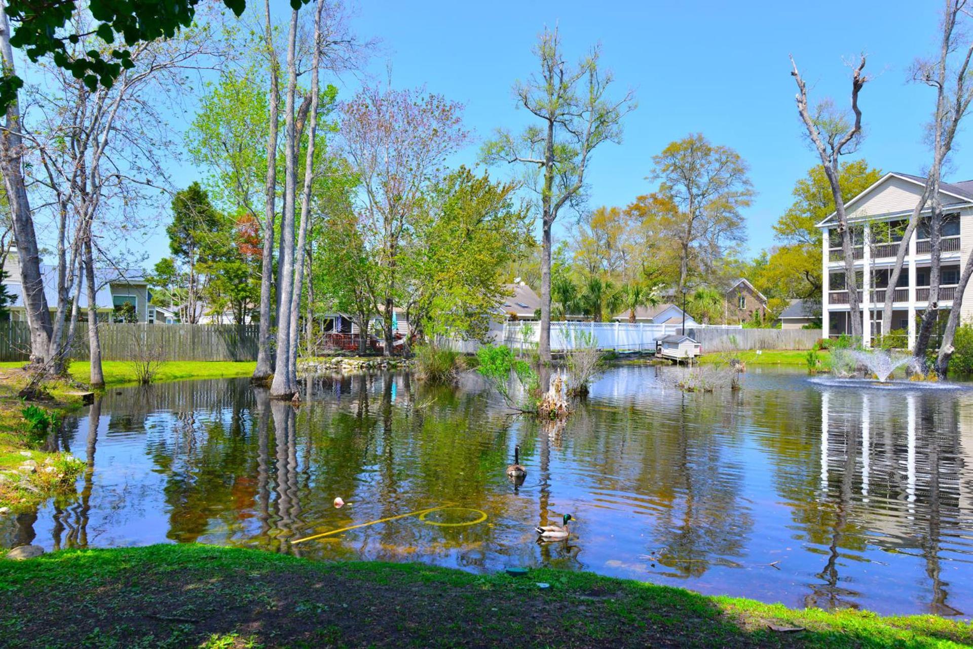 All New Luxury Beach Retreat 1 Mile To Beach W Pool Myrtle Beach Exteriér fotografie
